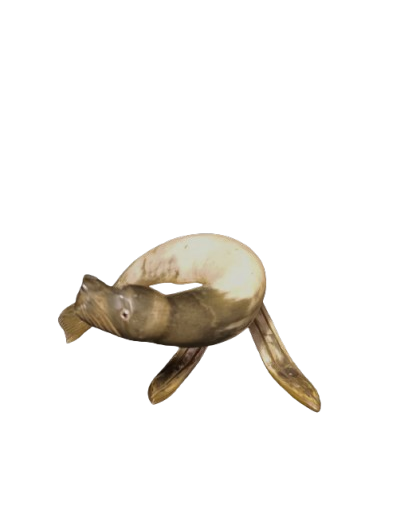Corne de vache sculptée