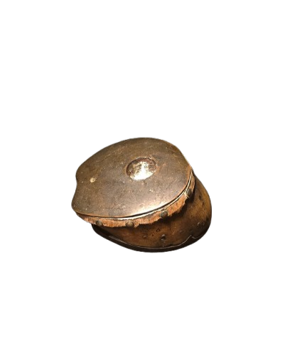 Véritable Sabot de Cheval ferré