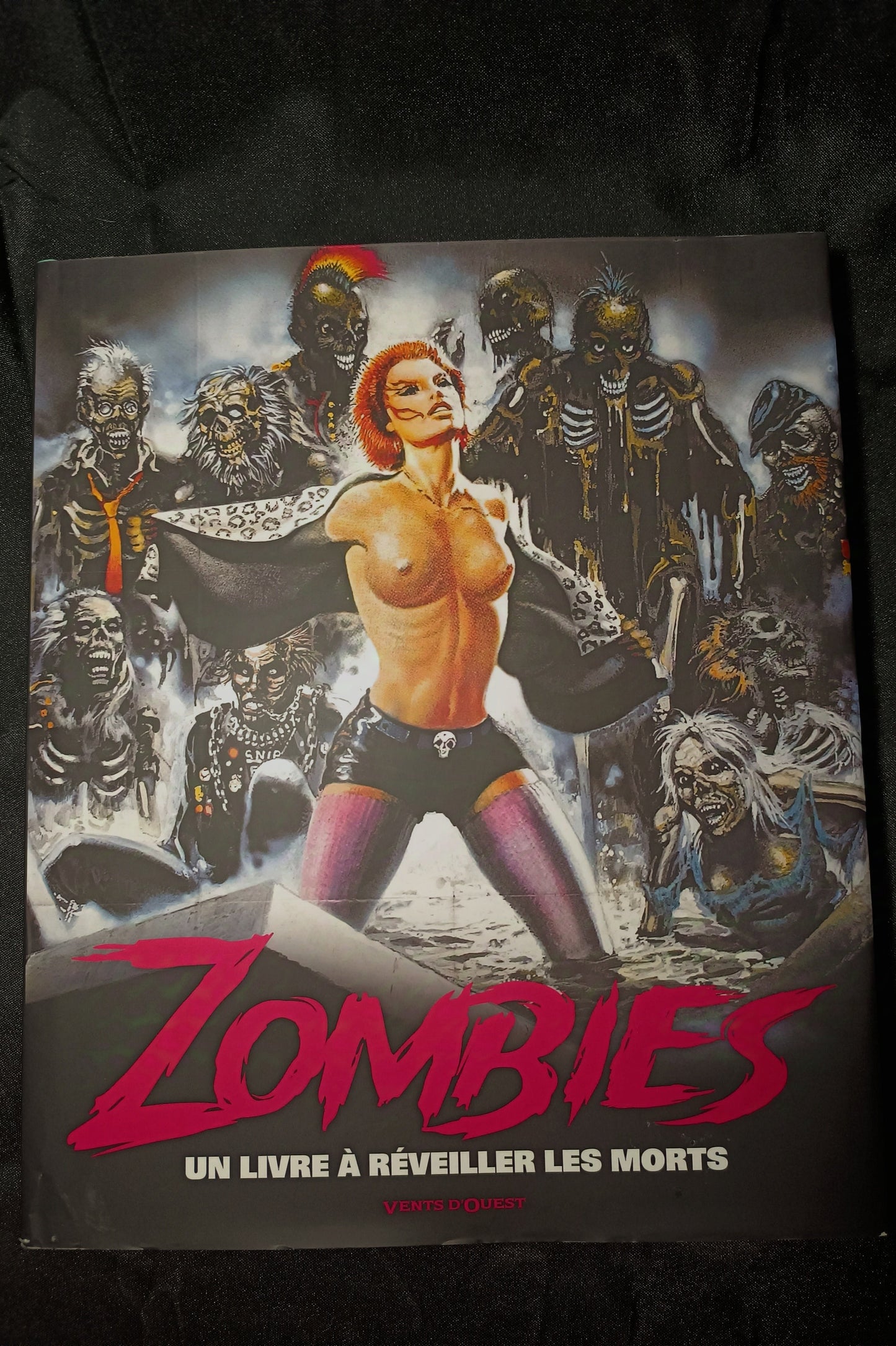 Livre Zombies